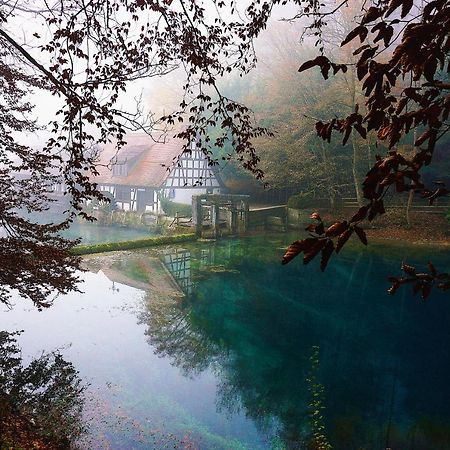 Ferienwohnung Reimann Mit Kostenloser Albcard Блаубойрен Екстер'єр фото